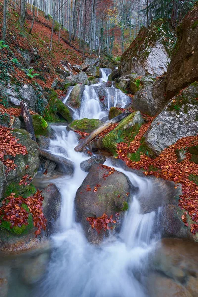 Waterfall Afforested Mountains Late Autumn — Stock Photo, Image