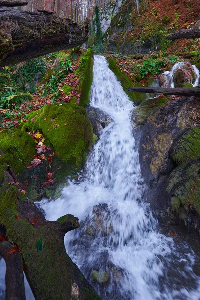Wodospad Zalesionych Górach Późną Jesienią — Zdjęcie stockowe