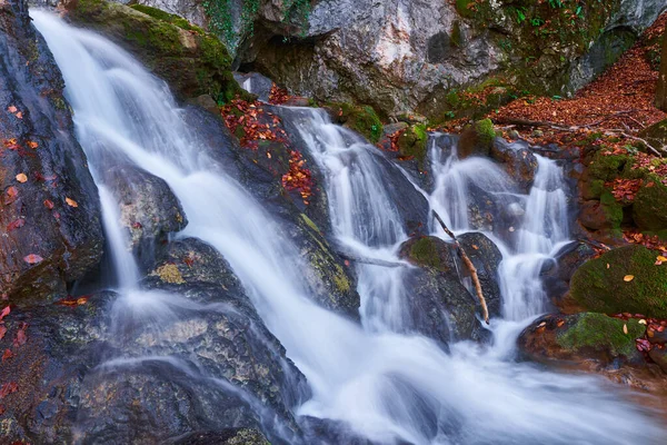 Waterval Beboste Bergen Late Herfst — Stockfoto