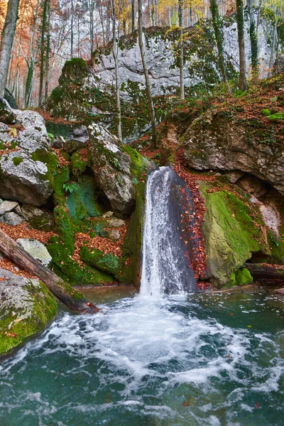 秋末森林覆盖的山中的瀑布 — 图库照片