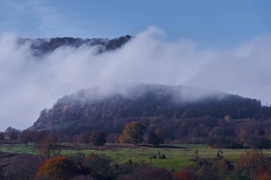 Dağlardan inen ağaçlar ve sisli sonbahar manzarası