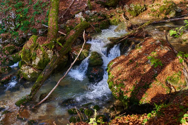 Řeka Peřeje Kaňonem Horách Bujnou Vegetací — Stock fotografie