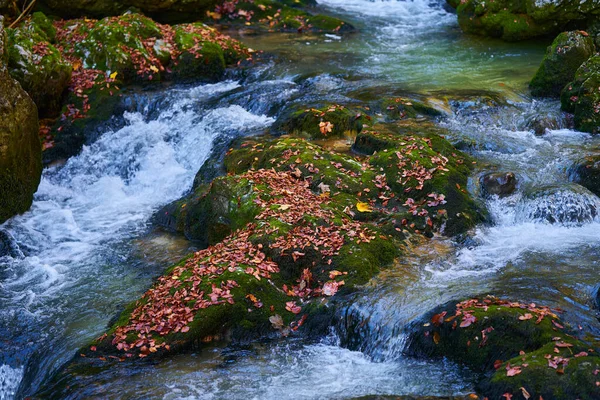 Flodforsar Genom Ravin Ett Berg Med Frodig Vegetation — Stockfoto