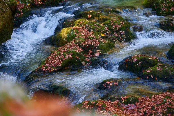 Rio Corre Através Cânion Uma Montanha Com Vegetação Exuberante — Fotografia de Stock