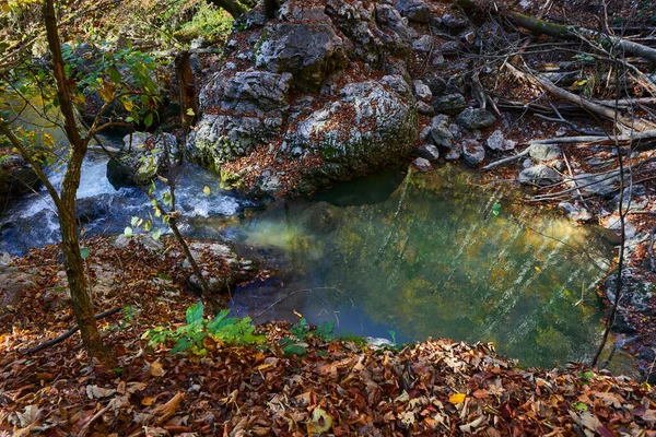 Rzeka Generowana Przez Krasowe Źródło Górach Wapiennych — Zdjęcie stockowe