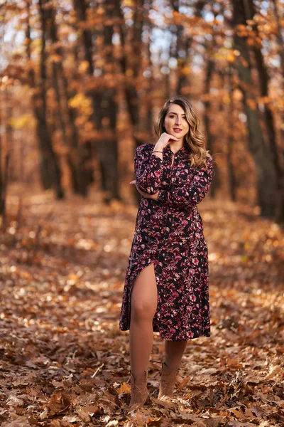 Size Piękna Kobieta Dębowym Lesie Późną Jesienią — Zdjęcie stockowe