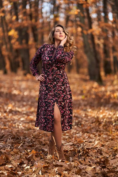 Ayrıca Sonbaharın Sonlarında Meşe Ormanında Güzel Bir Kadın — Stok fotoğraf