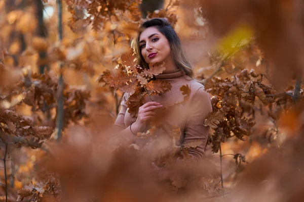 Velikost Krásná Žena Dubovém Lese Konci Podzimu — Stock fotografie