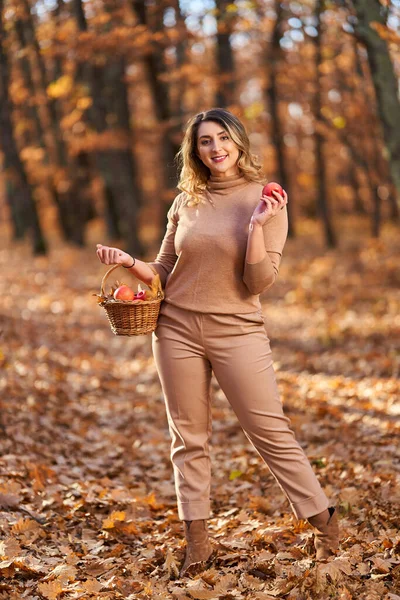 Storlek Lycklig Vacker Kvinna Ekskogen Hösten Med Korg Med Äpplen — Stockfoto