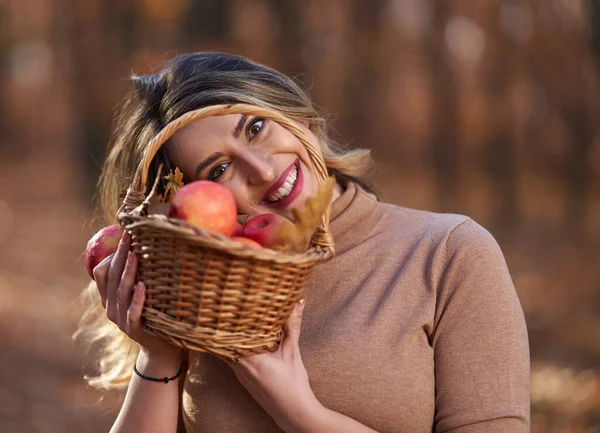 Størrelse Glad Smuk Kvinde Egeskoven Efteråret Med Kurv Æbler Til - Stock-foto