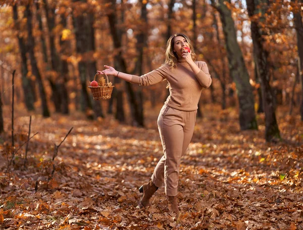 Velikost Šťastná Krásná Žena Dubovém Lese Podzim Košíkem Jablek Piknik — Stock fotografie