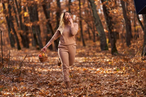 가을에는 속에서 피크닉 바구니와 아름다운 여인의 — 스톡 사진