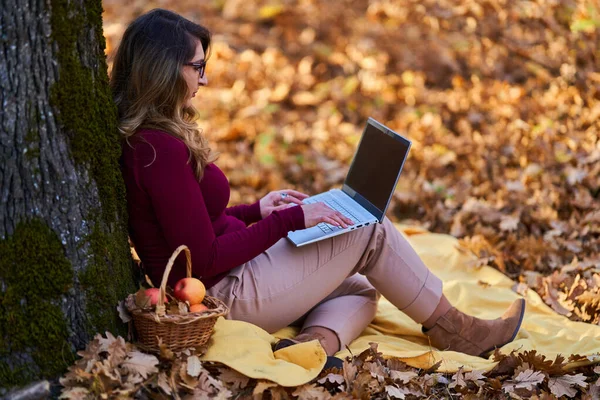 森の中で美しい秋の日を楽しみながら 彼女のラップトップで働いている若い実業家 — ストック写真