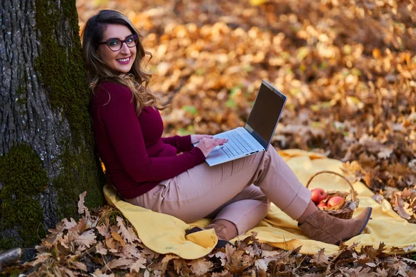 Молодая Деловая Женщина Работающая Ноутбуке Наслаждаясь Прекрасным Осенним Днем Природе — стоковое фото