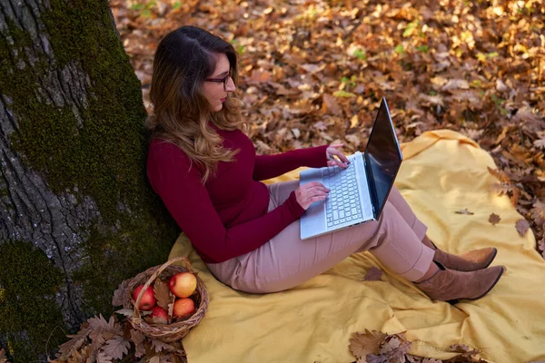 Młoda Bizneswoman Pracująca Laptopie Podczas Pięknego Jesiennego Dnia Lesie — Zdjęcie stockowe