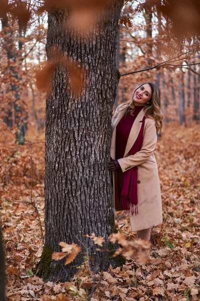 Taille Belle Femme Dans Une Forêt Chênes Fin Automne — Photo