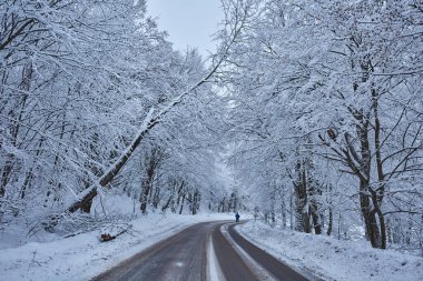 Dağ ormanlarında karla kaplı bir yolu olan kış manzarası.