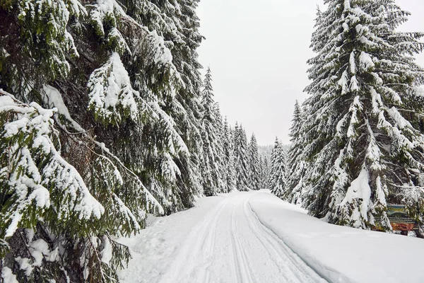 Winter Landscape Road Covered Snow Mountain Forest — Stock Photo, Image