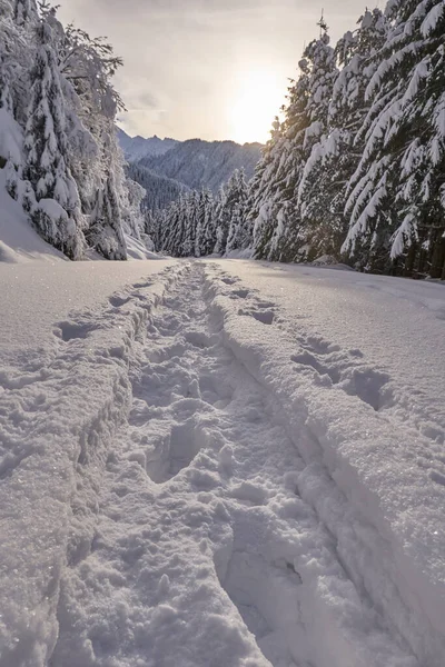 Paisaje Invernal Con Camino Cubierto Nieve Través Del Bosque Montañoso — Foto de Stock