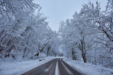 Dağ ormanlarında karla kaplı bir yolu olan kış manzarası.