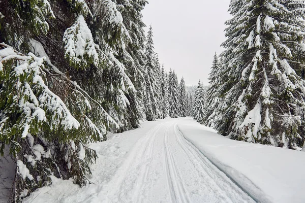 Paisaje Invernal Con Camino Cubierto Nieve Través Del Bosque Montañoso — Foto de Stock