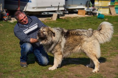 Kafkas çoban köpeği olan bir adam arka bahçede oynuyordu.
