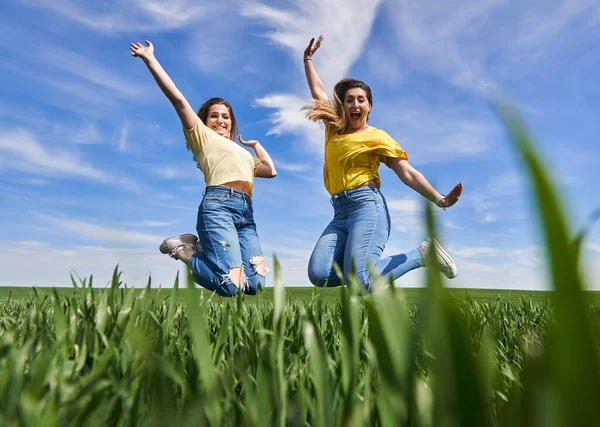 Twee Size Meisjes Springen Van Vreugde Plezier Hebben Een Tarweveld — Stockfoto