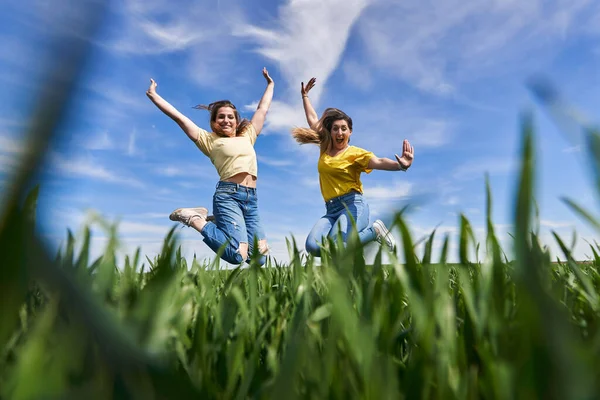 Dvě Velikost Dívky Skákání Pro Radost Baví Pšeničném Poli — Stock fotografie