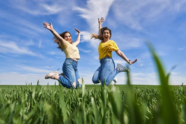 Twee Size Meisjes Springen Van Vreugde Plezier Hebben Een Tarweveld — Stockfoto