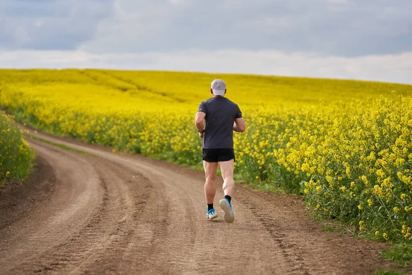 Langstreckenläufer Mittleren Alters Läuft Auf Einem Feldweg Einem Blühenden Rapsfeld — Stockfoto