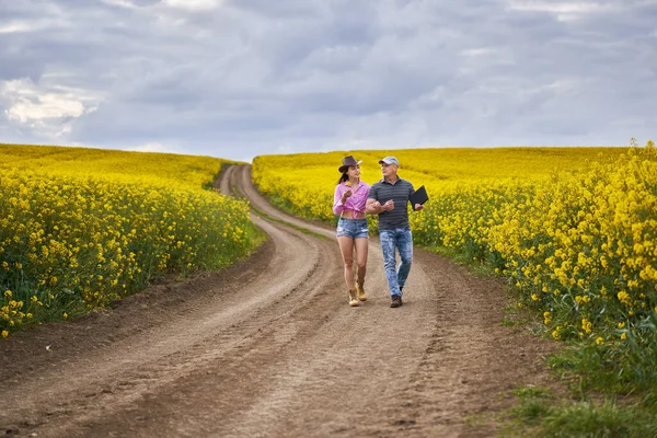 Couple Agriculteurs Examinant Les Champs Canola Pleine Floraison — Photo
