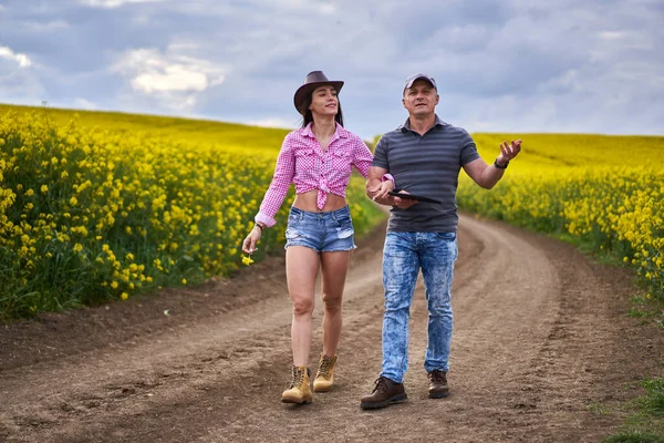 Jordbrukare Par Undersöker Raps Fälten Full Blom — Stockfoto