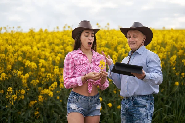 農家の夫婦は満開の菜の花畑を調べる — ストック写真
