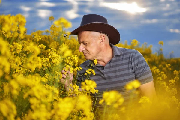 畑の菜の花畑に農民の肖像画 — ストック写真
