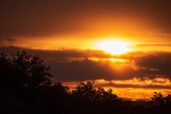 Zomer Zonsondergang Boven Het Bos Met Wolken Zon Beeld — Stockfoto