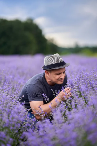 Jordbrukare Med Hatt Mitt Lavendelfältet Redo För Skörd — Stockfoto