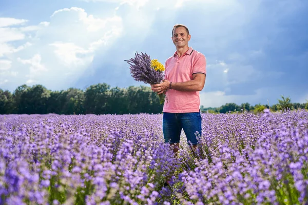 Gammal Bonde Man Skördar Lavendel Juli — Stockfoto