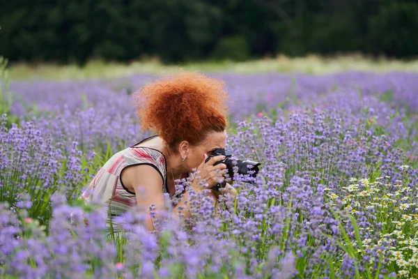 女性自然写真家とともに彼女のカメラでラベンダー畑の撮影写真 — ストック写真