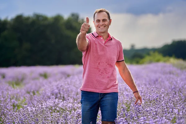 Lavendelbäuerin Erntet Die Duftenden Blumen Hochsommer — Stockfoto