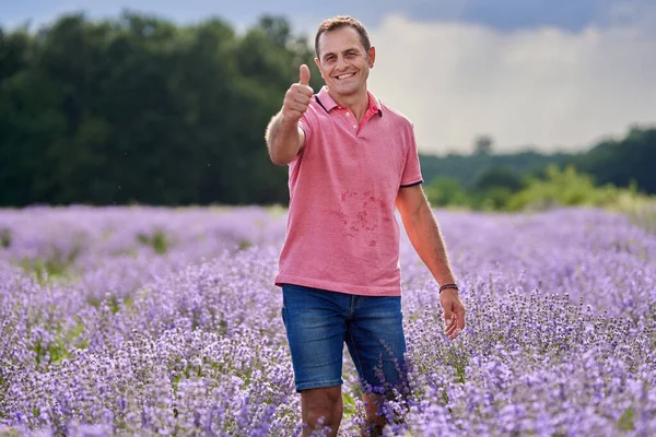 Lavender Farmer Harvesting Perfumed Flowers Mid Summer — Stock Photo, Image