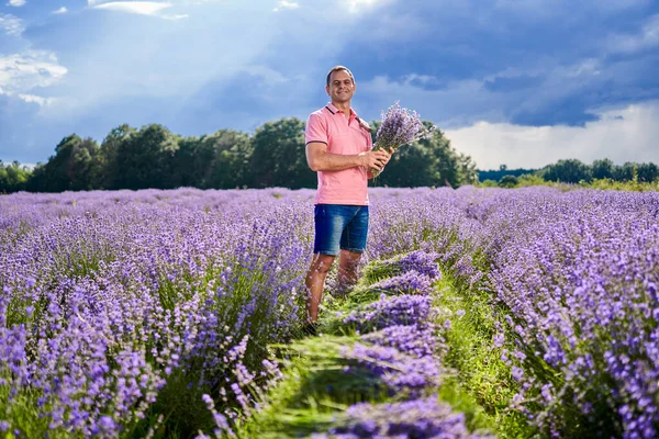 Levendulatermesztő Parfümözött Virágokat Nyár Közepén Szüreteli — Stock Fotó