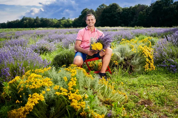 Agricultor Lavanda Cosechando Las Flores Perfumadas Mediados Del Verano — Foto de Stock