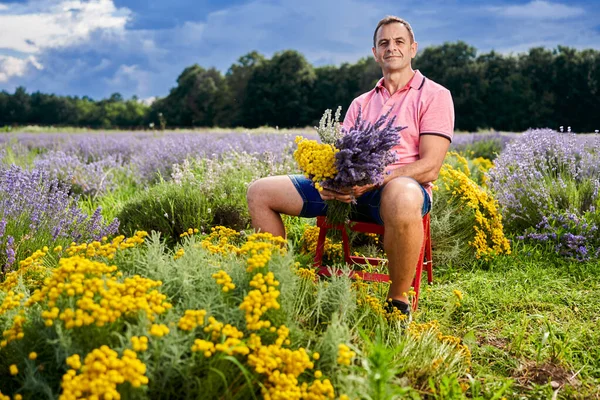 Αγρότης Λεβάντας Θερίζει Αρωματισμένα Λουλούδια Στα Μέσα Του Καλοκαιριού — Φωτογραφία Αρχείου