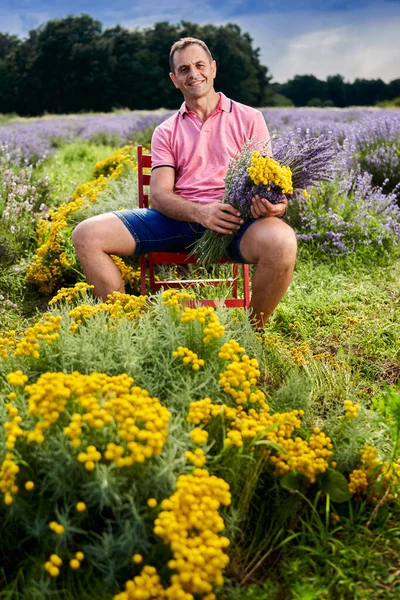ラベンダー農家は真夏に香水の花を収穫します — ストック写真