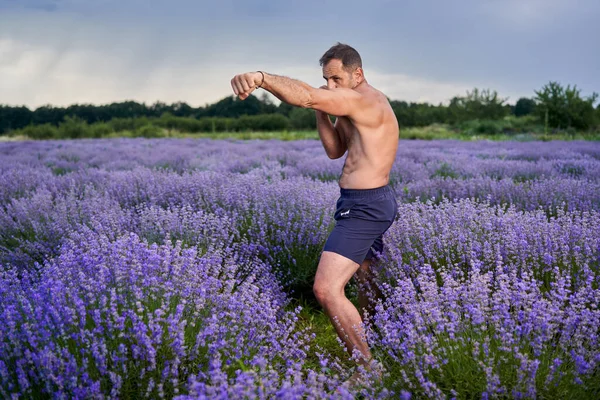 在盛开的薰衣草场训练跆拳道选手 — 图库照片