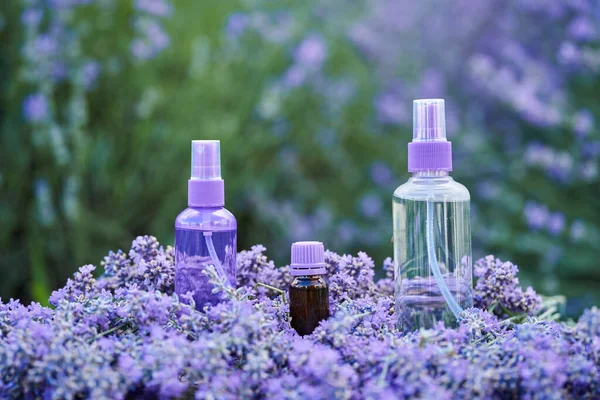 Zapachowa Woda Olej Perfumy Lawendowe Kwiatach Plantacji Lawendy — Zdjęcie stockowe