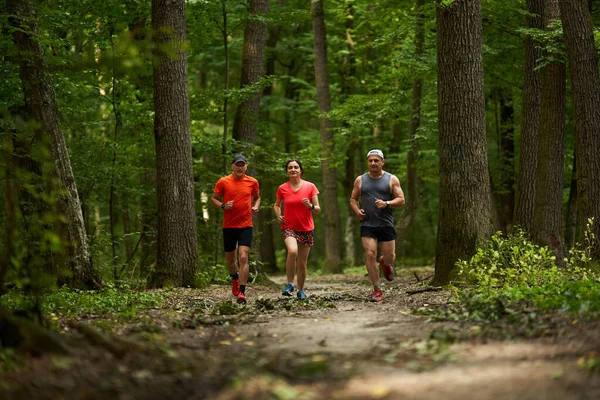 Group of three runners, jogging on running trail through the forest