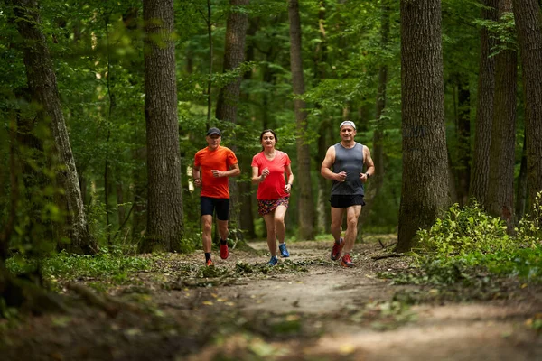 Groupe Trois Coureurs Jogging Sur Sentier Course Travers Forêt — Photo