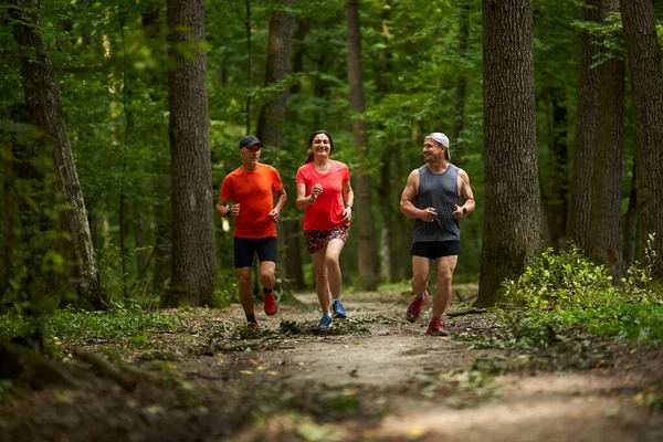 Skupina Tří Běžců Jogging Running Trail Forest — Stock fotografie