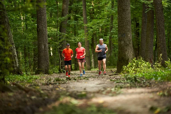 三人一组 跑步穿过森林 沿着小径跑 — 图库照片